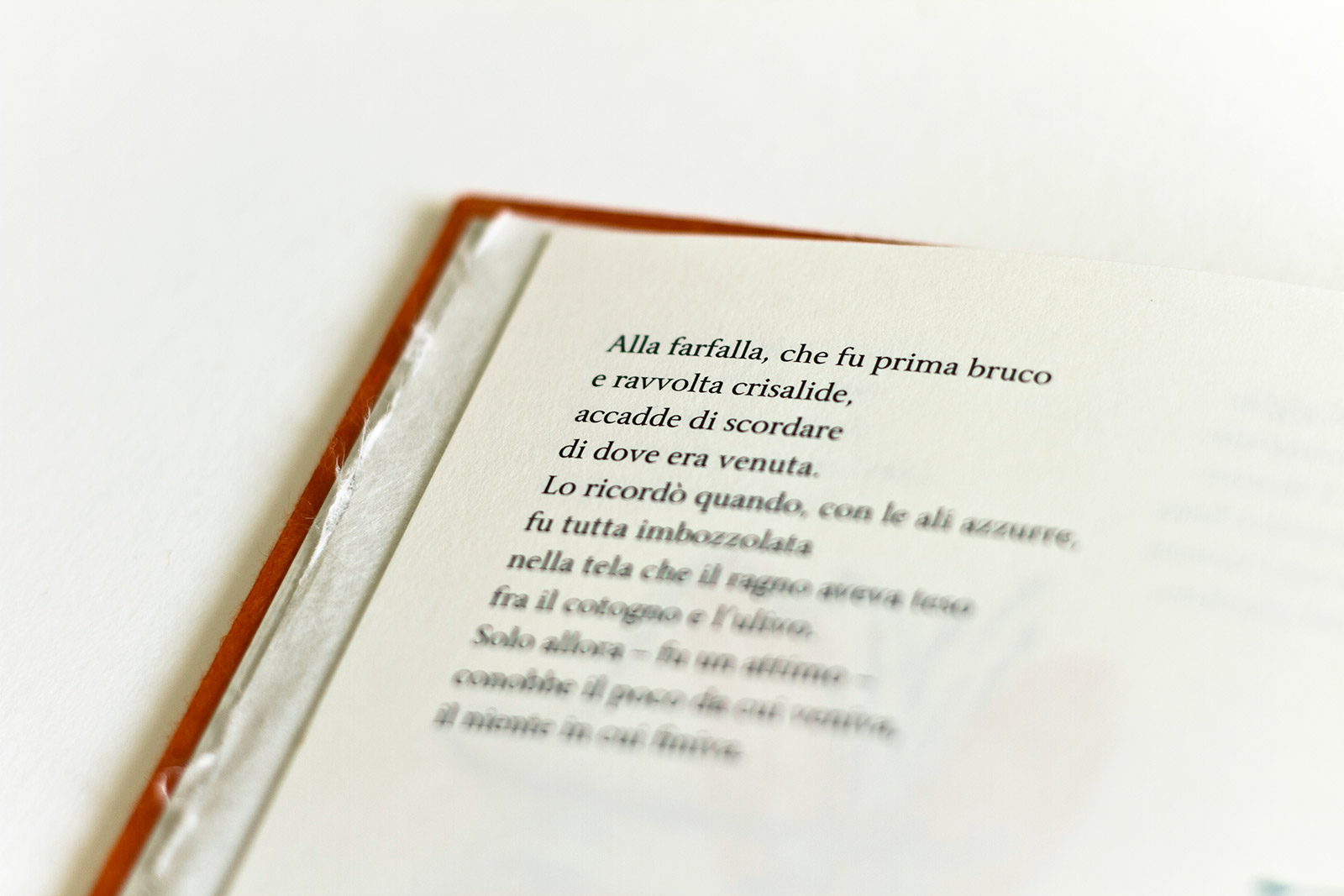 Libri (da de-finire)